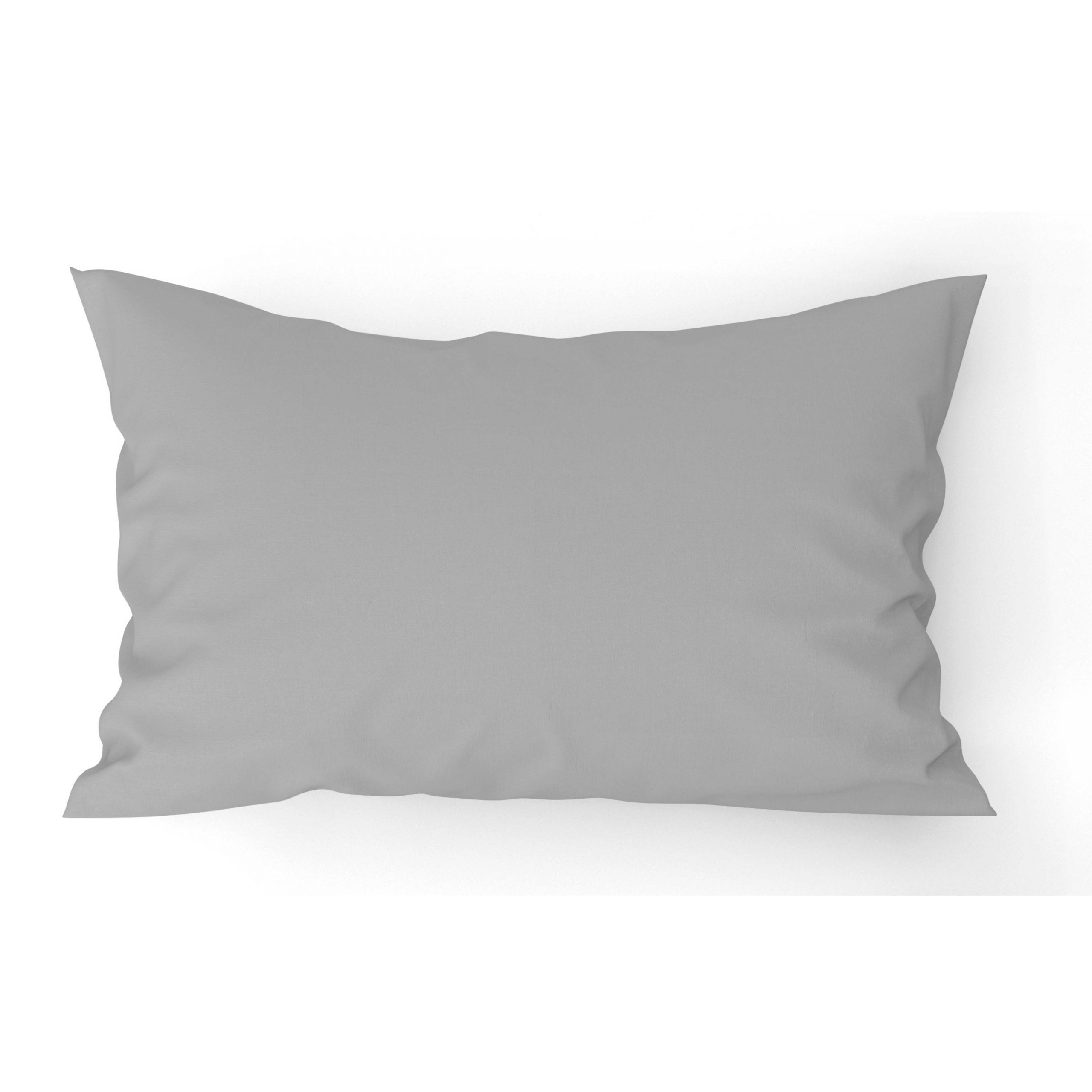 ציפית אפורה