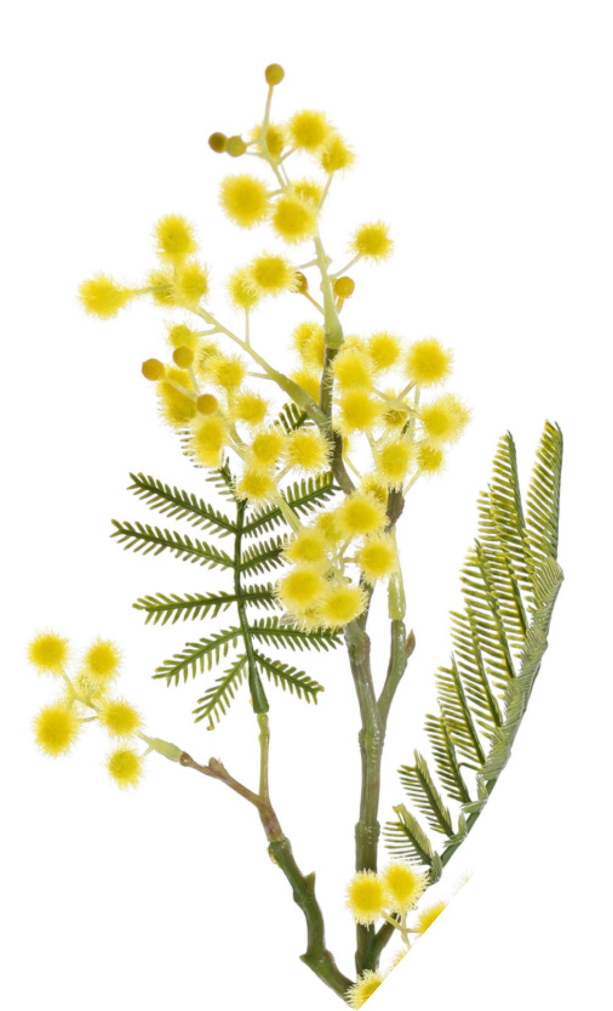 סט מצעי כותנה אקסיה